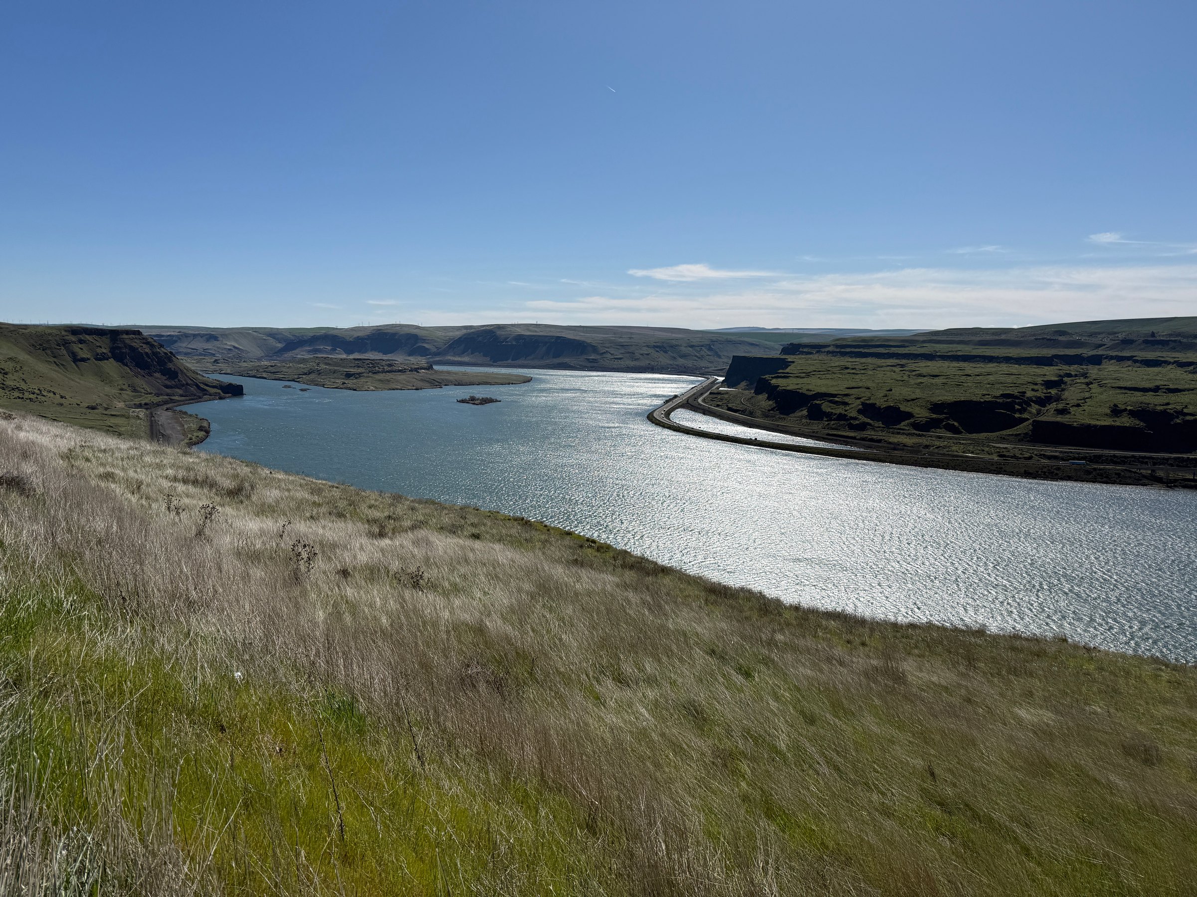 A wide river in a basalt canyon on a windy spring day, with wind lines across the water and grass bent by the wind.