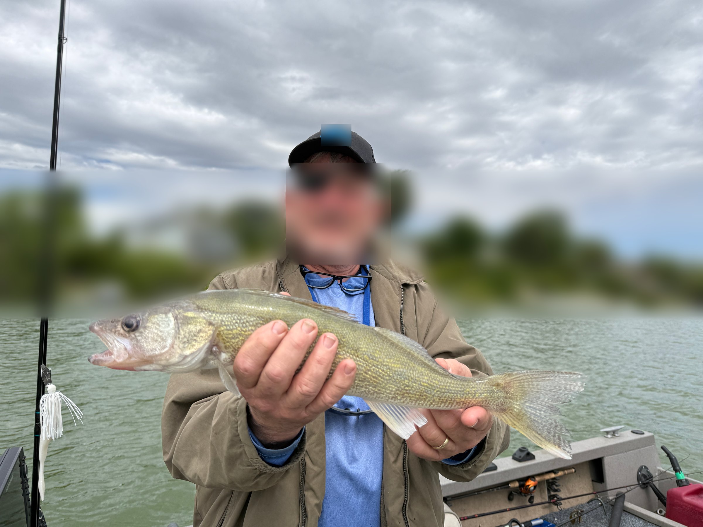 An angler holding a walleye aboard a boat, with the shoreline behind blurred.
