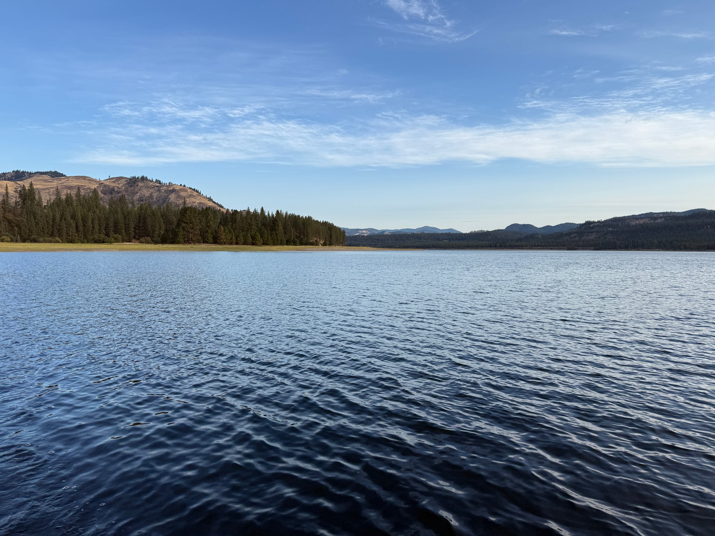 Calm water with pines and a dry hillside on the far shore under a clear sky