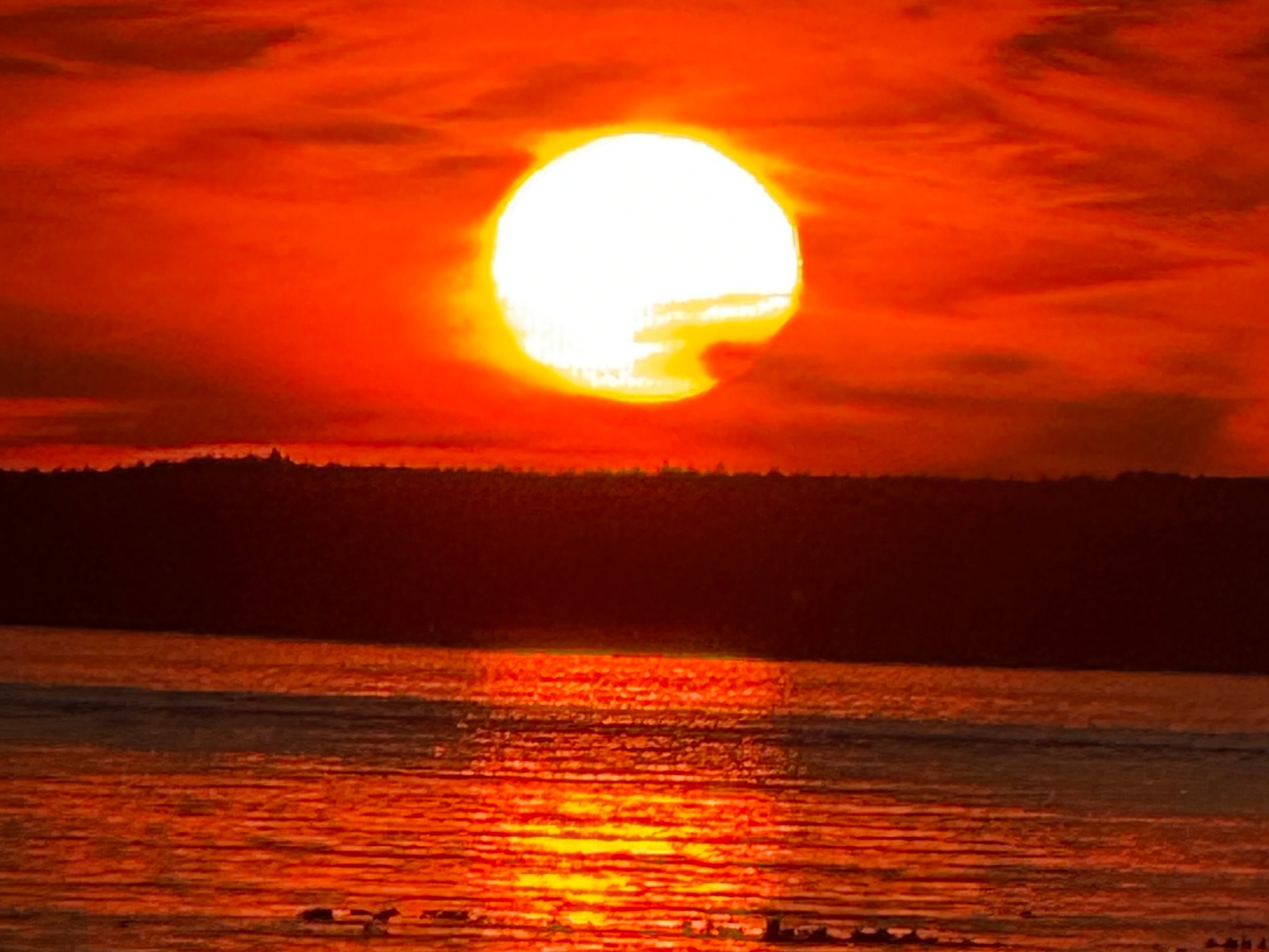 The sun setting red over a tree-lined shore, its reflection laid across the water.